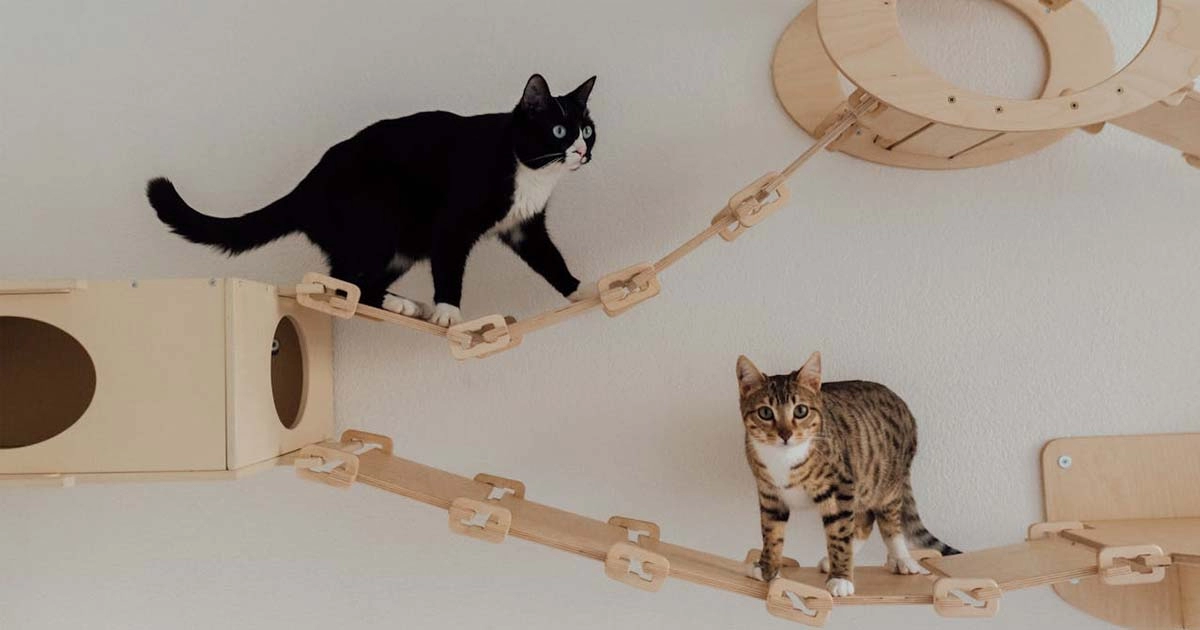 Vertical spaces: Take your cat’s world to new heights!